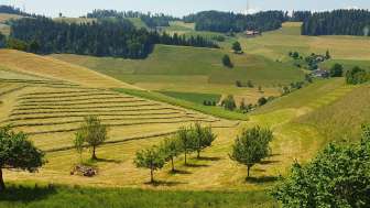 Aussicht von der Emmentaler Lodge in Schwanden
