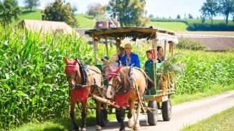 Bauernhof Nyffeler, Häusernmoos, Rösslifahrt