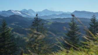 Aussicht, Ferienwohnung, Zürcherhaus, Trub