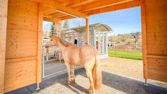 Stall, Ferienwohnung Spycher, Grünenmatt