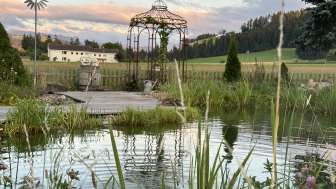 Aussicht auf Teich mit Abendstimmung