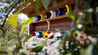 Hofgemeinschaft Alma Verde, Gysenstein, Bienenhaus