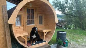 Uebernachten im Wohnfass in Luetzelflueh