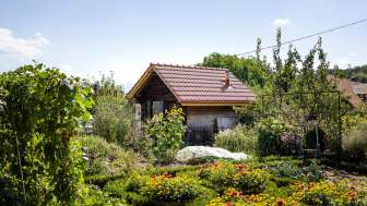 Hofgemeinschaft Alma Verde, Gysenstein, Lisus Gärtli, B&B,  Aussenansicht, Sommer