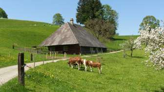 Althüsli Huebe Haus auf dem Land