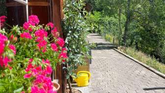 Ferienwohnung Alpakaweidli, Aeschau