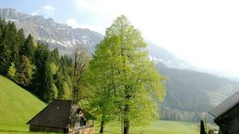 Schlafen im Spycher, Schangnau