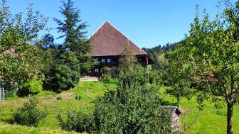 Bed & Breakfast Raingut