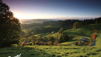 Bed & Breakfast Siehen, Eggiwil