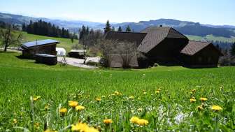 Ferienwohnung Benzenberg Aussicht Frühling 