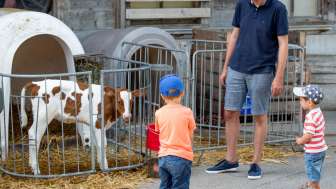 Familie lernt Tiere auf dem Hof kennen