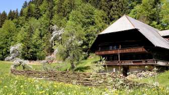 Sahlenweidli, Röthenbach, Aussenansicht, Sommer