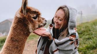 Alpakaerlebnisse auf dem Schmalenhof