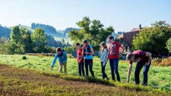 Emmental, Agrotourismus, Feldarbeit