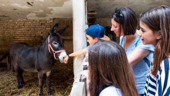 Spiel und Spass mit dem Esel auf dem Hof Baettwil