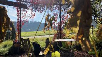 Aussicht in Garten mit Katze und Blumen